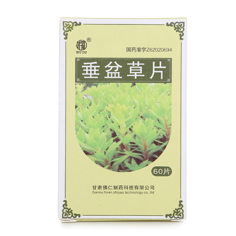 武都 垂盆草片 60片*1瓶/盒