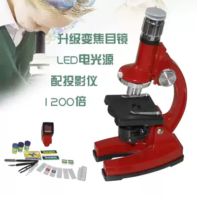 Students use optical microscopes, children's biological microscopes, teaching science experiments 1200 times with projectors