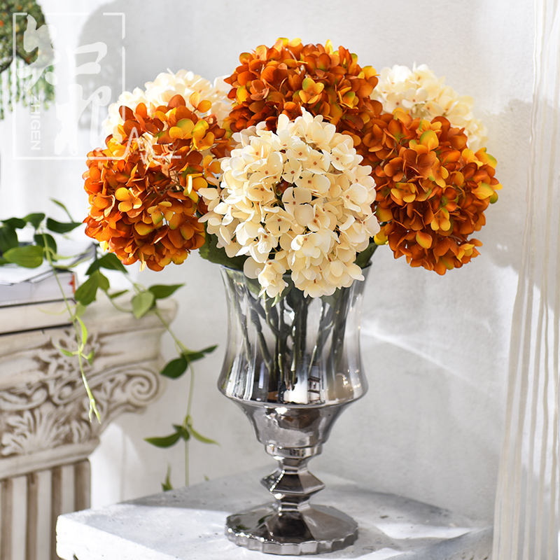 ֪���߷��滨XQ-004