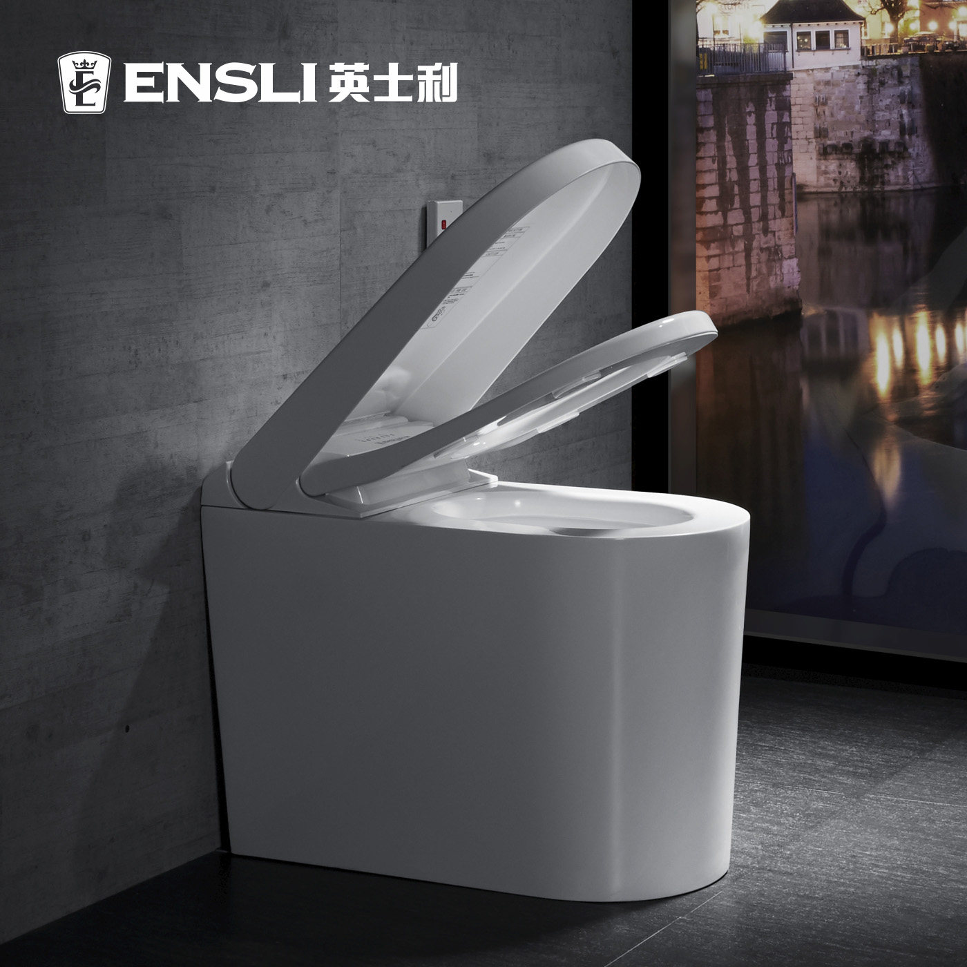 Ӣʿ�����ܶ๦����Ͱ������E-D203