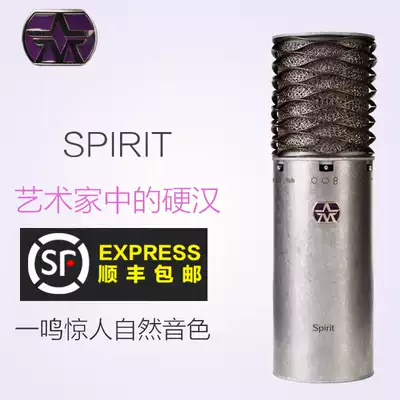British ASTON SPIRIT ASTON capacitor microphone professional recording K song anchor studio microphone