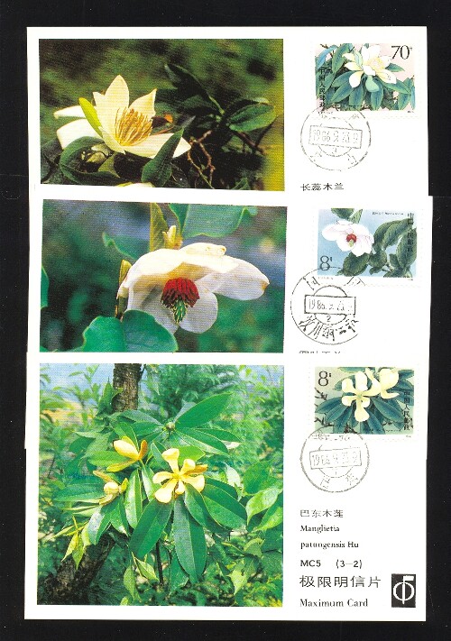 [Full 200] Philatelic Corporation Extreme Piece MC5-3 Pieces of Rare and Endangered Magnoliaceae