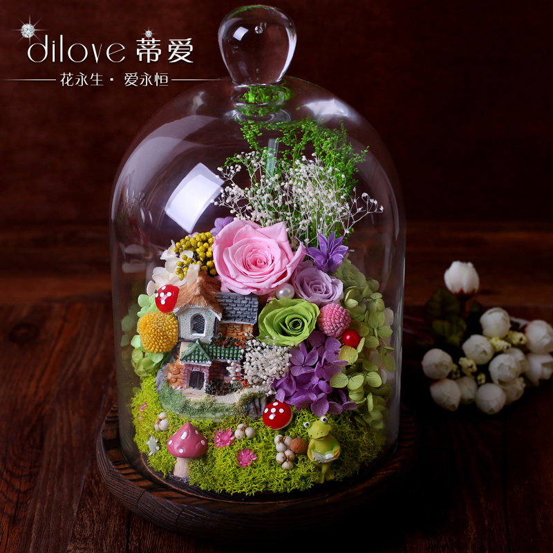 �ٰ����������õ�廨�ɻ�