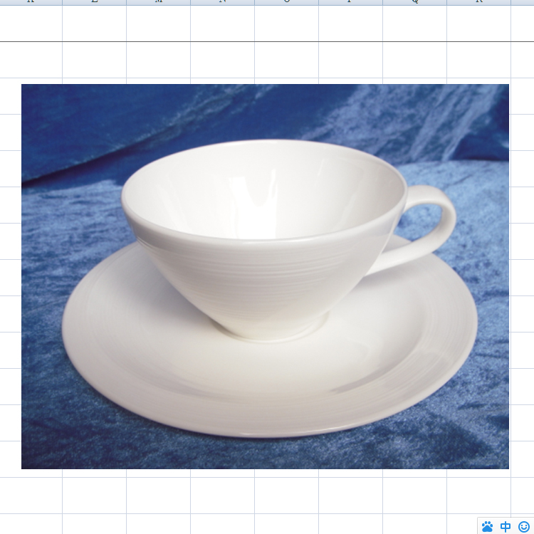 T2#CD CD CD Ceramic plate pure white bone ceramic cup disk Alien high grade bone relief ceramic ceramic