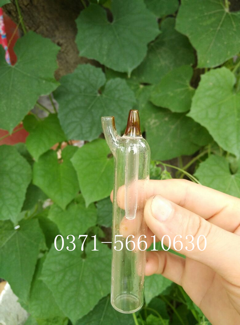 N-2滤水瓶（防爆瓶）采样缓冲瓶 安全瓶采样器配套缓冲瓶20*85mm