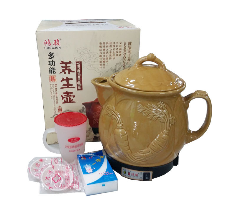 鸿骏 养生壶 T60 煎药壶 烧水煲汤 炖补品 煲凉茶一壶多用 快慢档