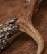 James Purdey & Sons Deer Antler Cigar Cutter Deer Antler Cigar Cutter