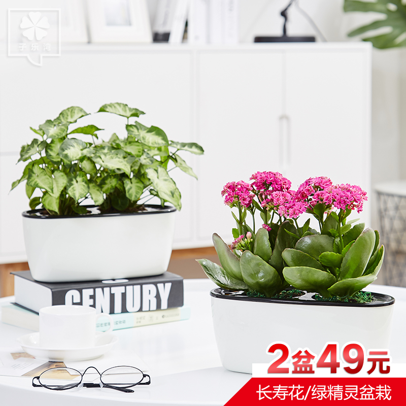 �������辰���賤�ٻ�