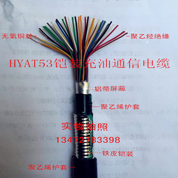 National Label Package detection HYAT53 10 * 2 * 0 9 armoured filling oil type large logarithmic cable communication cable