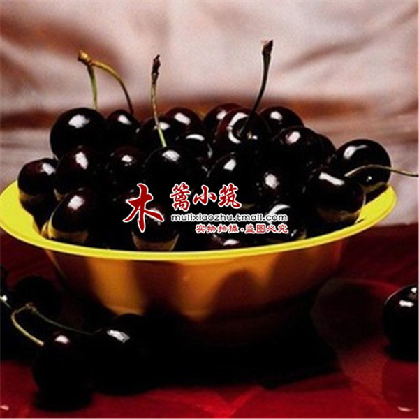 【黑樱桃】阳台庭院盆栽地栽车厘子樱桃苗 当年结苗 全国适宜