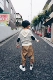 Nhà kem tùy chỉnh mùa thu đông con trai và bé gái một gia đình ba sọc gia đình mặc áo len áo thun cotton cotton cha mẹ-con