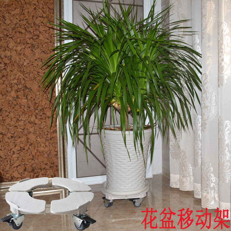 ����������ƶ�Բ���м� 3001