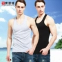 Guiyuan nhung nam vest vest thể thao cotton mùa hè thể dục thể thao bó sát đáy quần vest nam các kiểu áo ghi lê nam