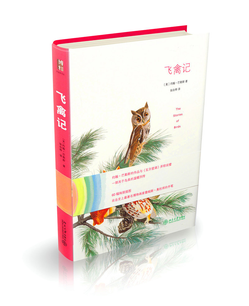 飞禽记