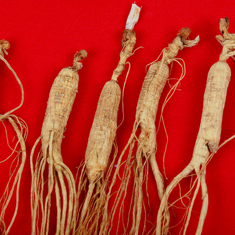 San-in-forest rangling Changbai Mountain Mountain ginseng transplanting Mountain ginseng 8 gr left and right wild ginseng for more than 13 years