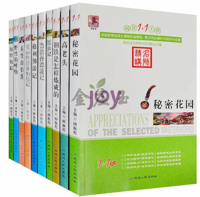 青少年世界文学小说名著套装书全10册 适合中学生看的课外书青少年课外书10-11-12-13-15岁 学生版名著解析鉴赏写作读后感秘密花园