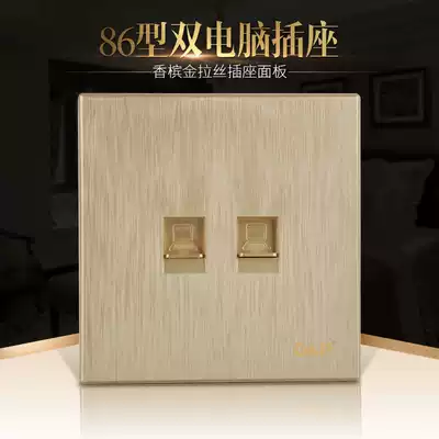 Op electric champagne gold salad wire 2-bit two-core two-bit computer switch socket concealed wall switch panel