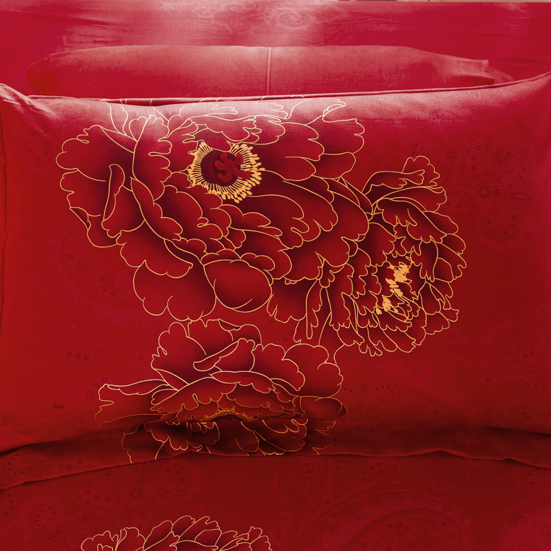 ��ҹè�����޻���������NH-G