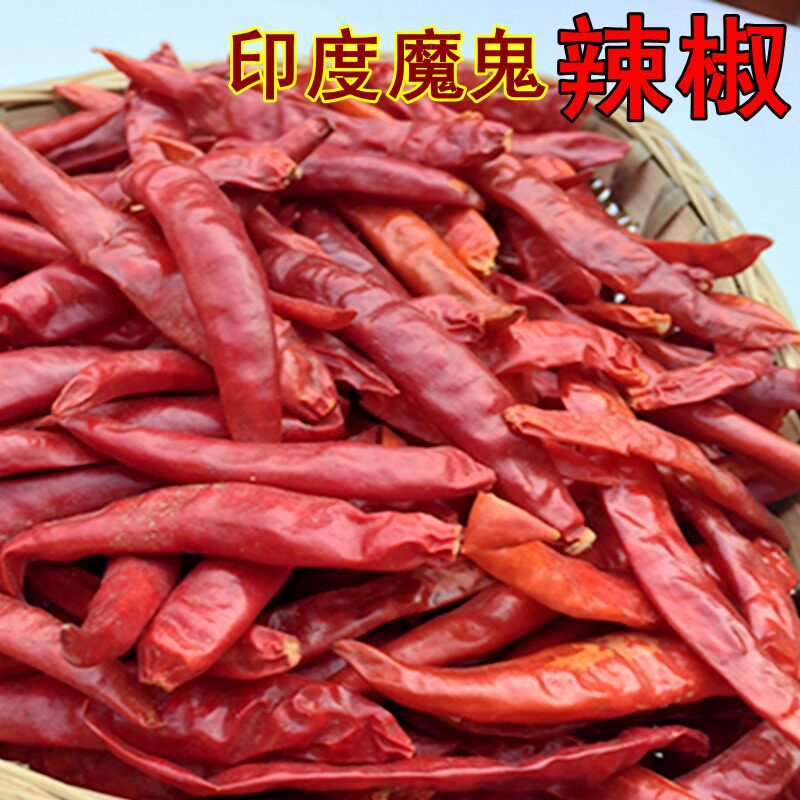 Dried chilli 100g Indian origin little devil chilli King soul chilli Super spicy special spicy small dried red chilli