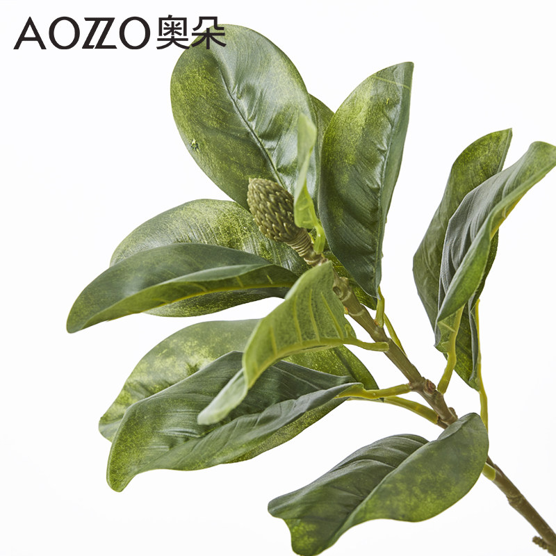 �¶�����Ҷ��֦����װ�η�����ֲ��֦�ɻ�80111301109