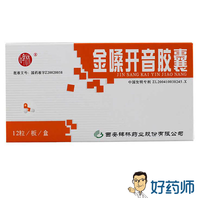 碑林 金嗓开音胶囊 0.4g*12粒/盒