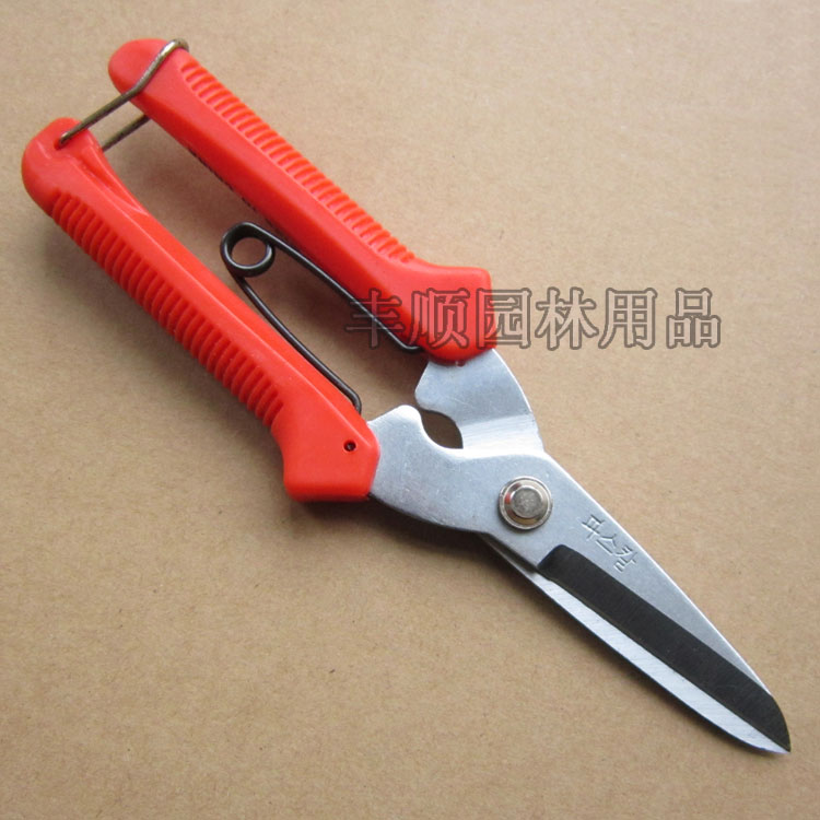 South Korea Hikot Cut Grape Cut Fruits Cut Branches Leaf Cut Gardening Scissors Prunes Prunes Cut Flowers Branches Cut Tips Cut