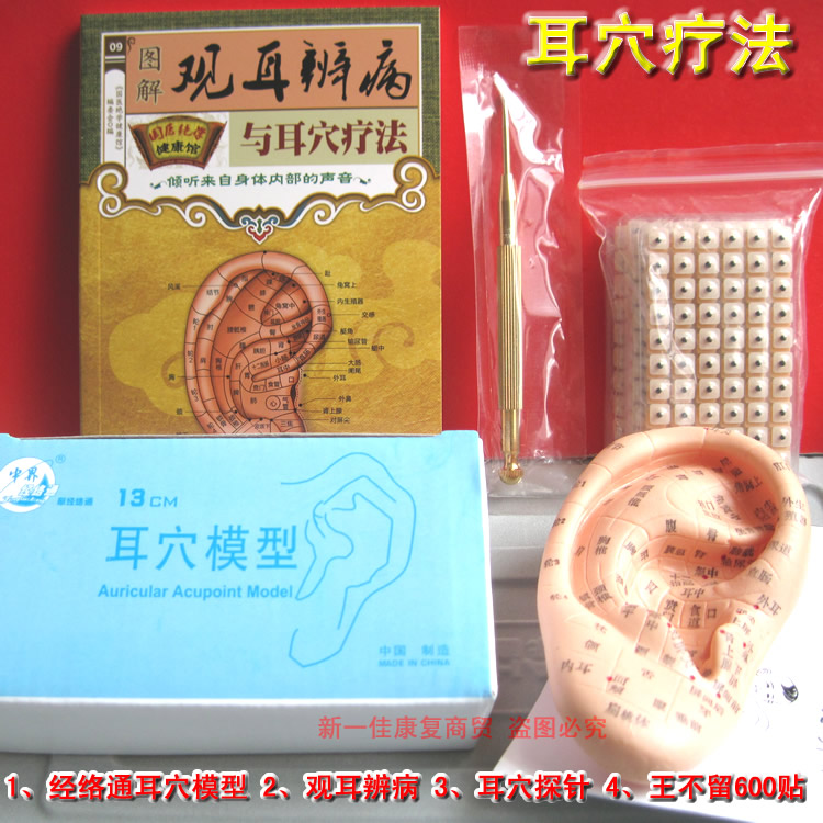 Wang Buliu line seed ear bead ear model meridian through ear acupoint paste vision probe needle ear acupoint massage acupoint pen stick