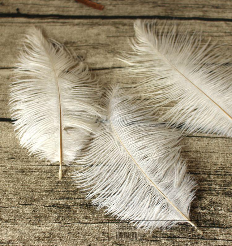 Ostrich Wool Feather Naughty Naughty Nets Shop Pat Photo Photography Props Background Swing Piece Taobao Photo Shoot Props