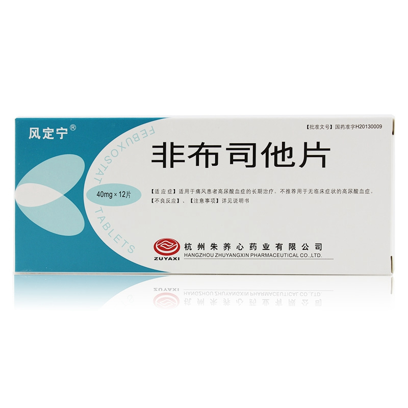 风定宁 非布司他片 40mg*12片/盒