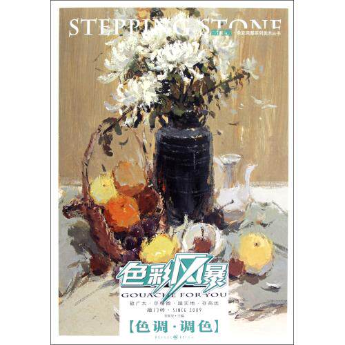 色彩风暴(色调调色)/敲门砖色彩风暴系列美术丛书 正版保证 李家友 艺术9787229055424