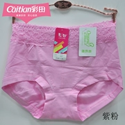 4 túi Caiti eo cao 30937 đơn giản màu hữu cơ cotton hữu cơ hông quần ren áo lót phụ nữ đồ lót