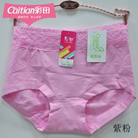 4 túi Caiti eo cao 30937 đơn giản màu hữu cơ cotton hữu cơ hông quần ren áo lót phụ nữ đồ lót đồ lót dành cho những cô nàng màn hình phẳng