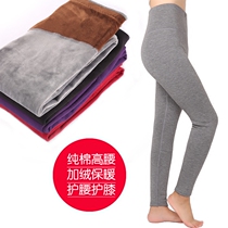 Winter womens cotton trousers single piece high waist slim thick knee pads cotton wool pants womens warm pants plus velvet inside wear