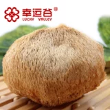 Lucky Valley Northeast Horizone Mushroom Dired Goods 218 г серы без грибов не -wild Hermore Head Mushroom Dired Monococcus Новые товары