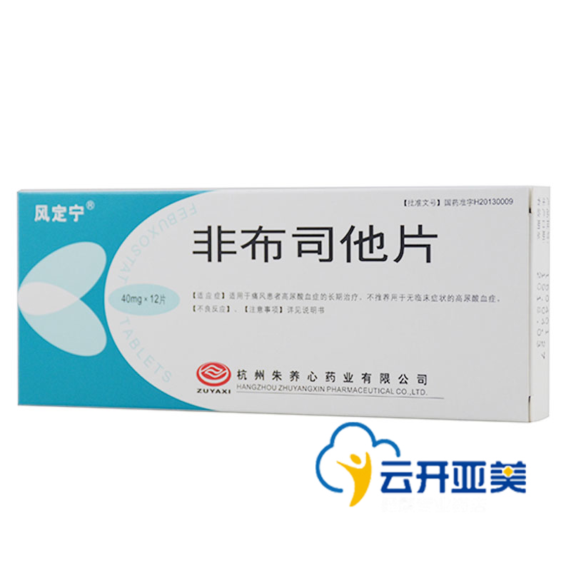 风定宁 非布司他片 40mg*12片/盒