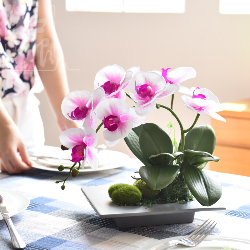 ֪���ٻ�pu������HDL-031