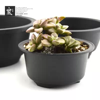 Korean-style fleshy flowerpot round landscape pot Korean-style Sedum pot old pile multi-meat platter