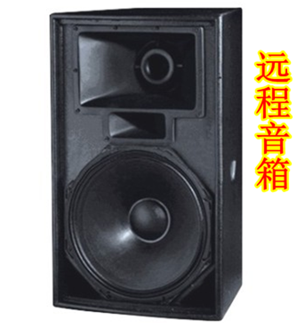 Professional remote speaker 15 inch remote speaker stage performance remote speaker