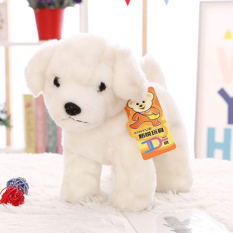 ����С����