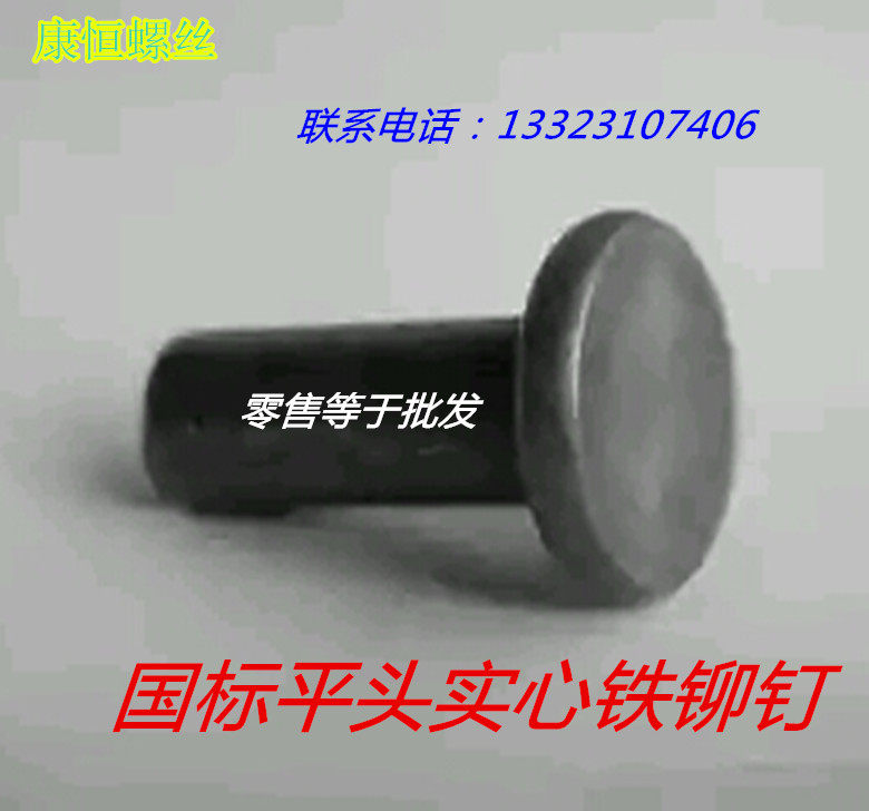 GB big cap flat head iron rivets solid iron rivets 16*45 16*50