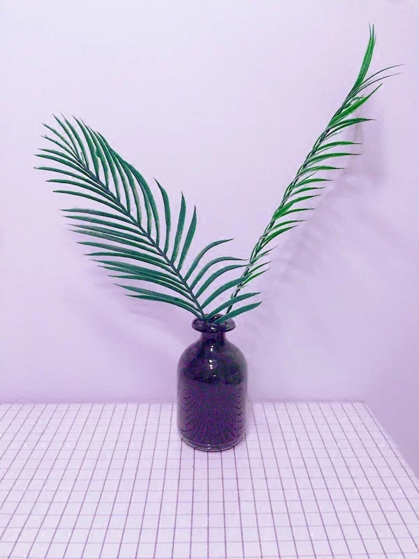 DIY minimalist simulation leaf chic Korea background pose props coconut leaf turtle back leaf pine leaf photo photography