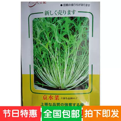 滿10元包郵京水菜銀絲菜種子水晶菜種子保健野菜四季種10g