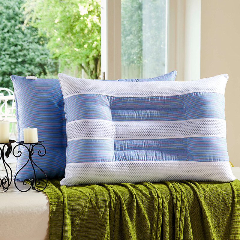 ���ڼҷĵ�����оZT02