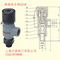 A21Y-40C Yongyi Valve Group spring micro-opening cast safety valve DN10 15 20 25 32 40