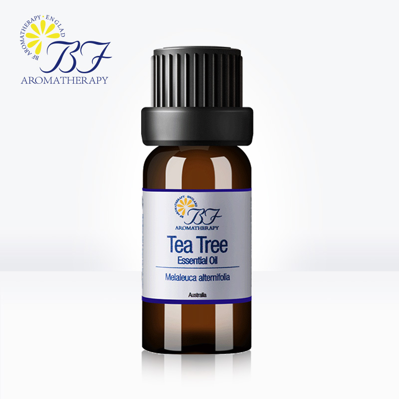 BF Aromatherapy茶树精油10ml 单方精油 香薰精油