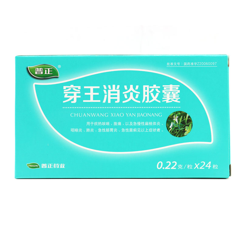 普正 穿王消炎胶囊 0.22g*24粒/盒