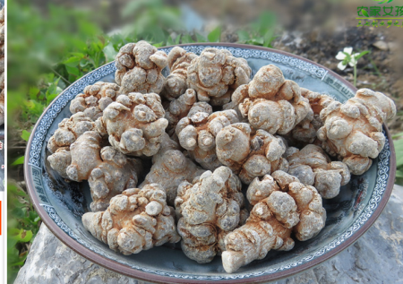 Wenshan, Yunnan, three, seven and 40 head and half powder can be powder three and seven powder