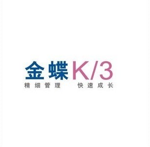 Kingdee K3Wise14.1/14.0/13.1/13.0/12.3/12.2/12.1/12.0/Installation and Debugging