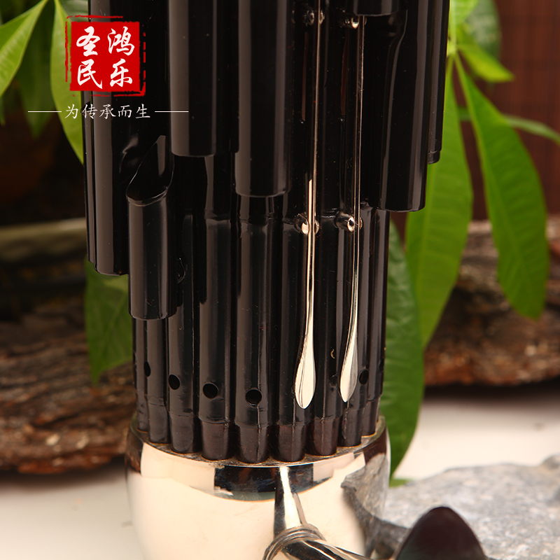 Shenghong Sheng Musical Instrument Professional Beginner 21 Reed 24 Reed 26 Reed Plus Key Sheng Amplified Sheng Adult National Musical Instrument Lu Sheng