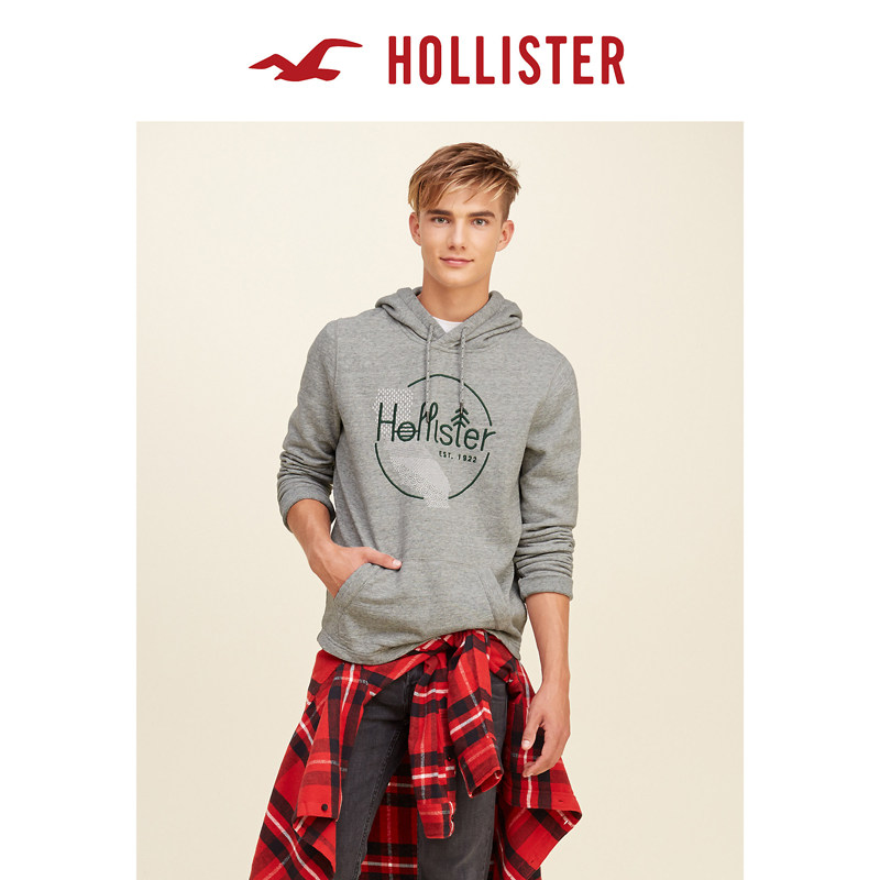 Hollister 徽标图案帽衫卫衣 男 104124